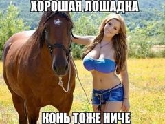 Девушка с конём