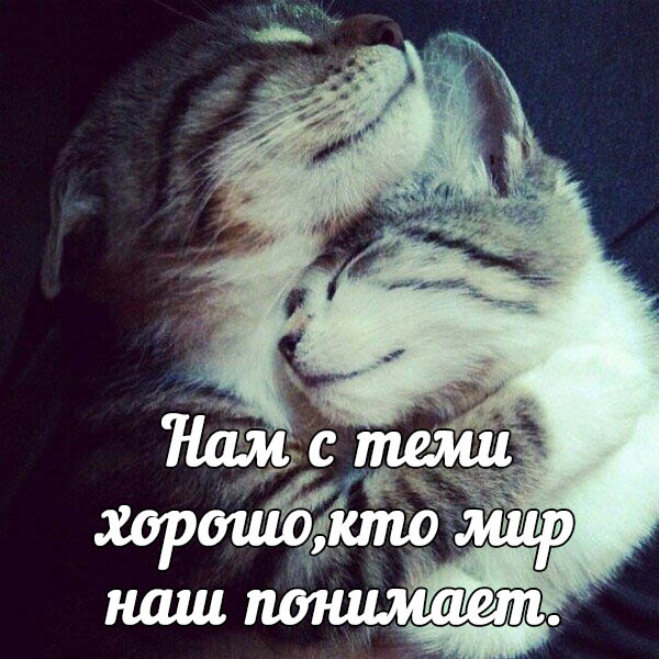 Цитаты про любовь
