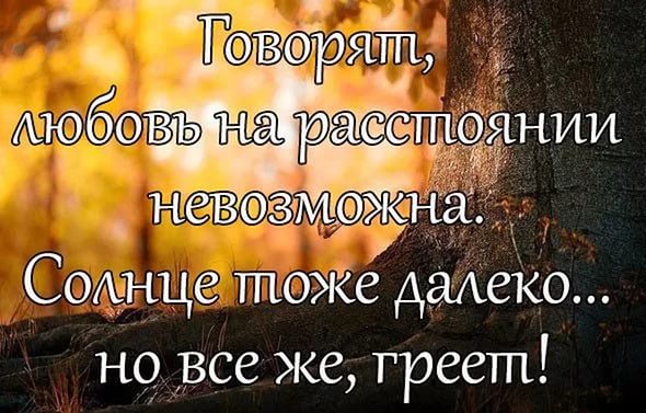 Про любовь и отношения цитаты