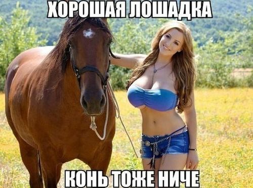 Девушка с конём